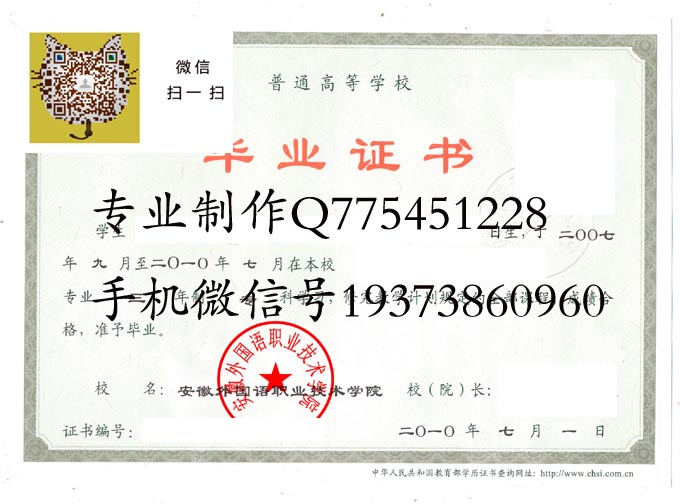 安徽外国语职业技术学院2010 拷贝.jpg 安徽外国语职业技术学院2010 拷贝.jpg