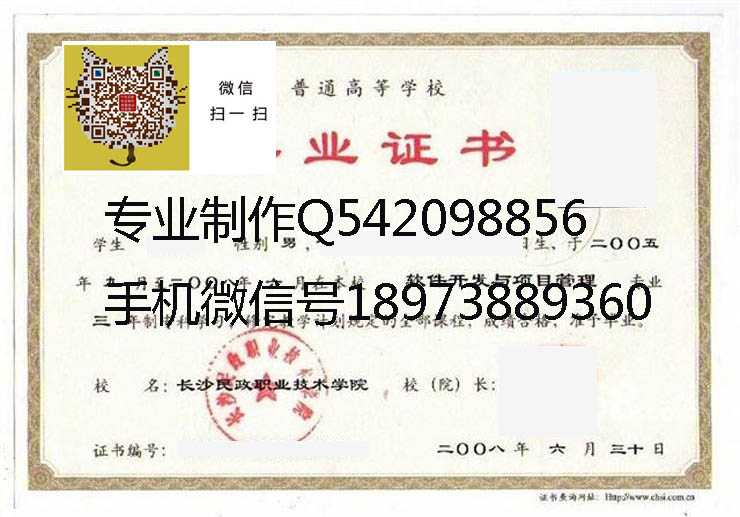 长沙民政职业技术学院毕业证样本