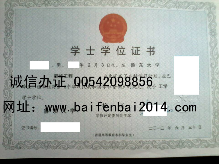 鲁东大学2013年学位证样本