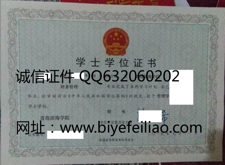 青岛滨海学院学位证样本