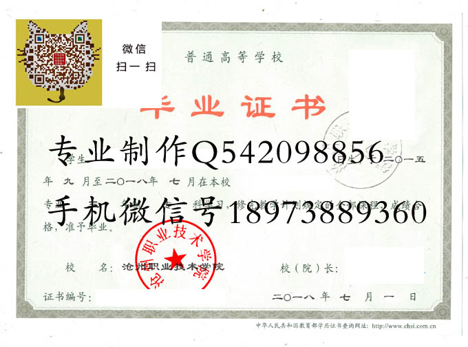 沧州职业技术学院2018 拷贝.jpg 沧州职业技术学院2018 拷贝.jpg
