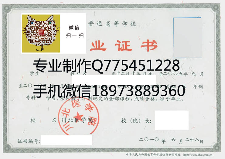 川北医学院2010年毕业证样本图片