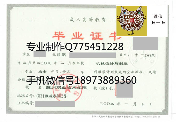 滁州职业技术学院09年毕业证样本