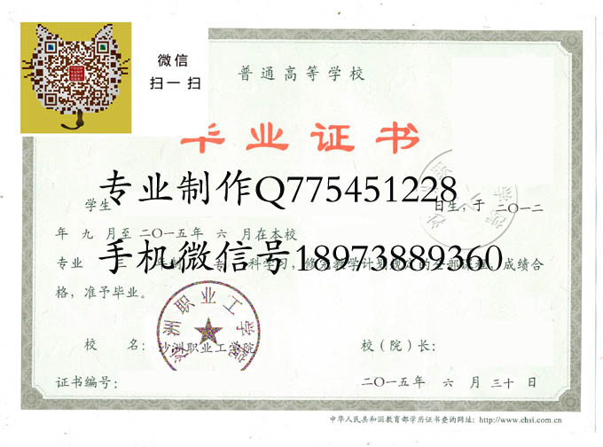 沙洲职业工学院毕业证样本