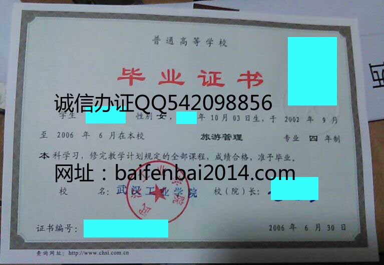武汉工业学院2006年毕业证样本