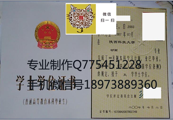 陕西科技大学学位证样本