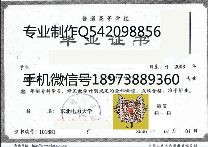 东北电力大学毕业证样本