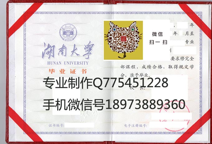 湖南大学毕业证样本