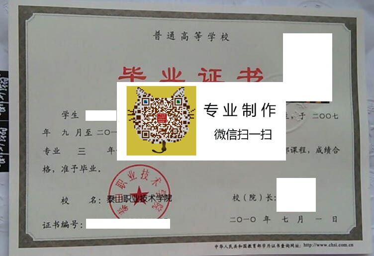泰山职业技术学院毕业证样本