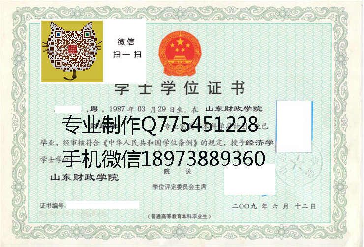 山东财政学院毕业证样本
