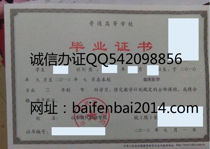 山东现代职业学院2013年毕业证样本