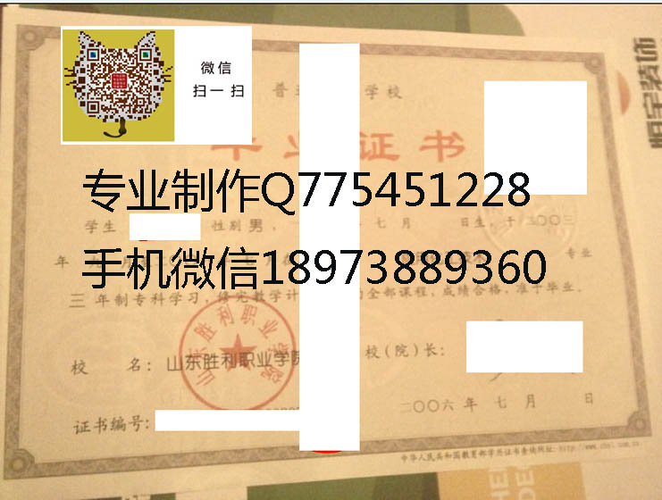 山东胜利职业学院毕业证样本