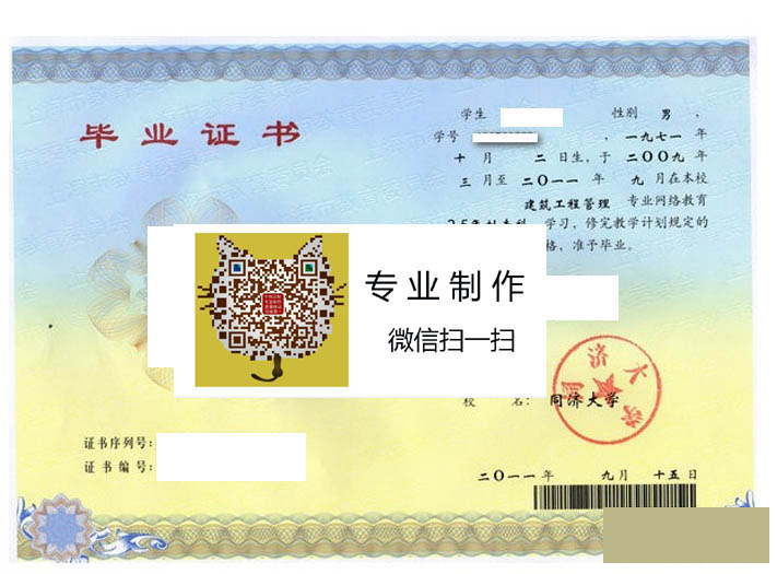 同济大学毕业证样本