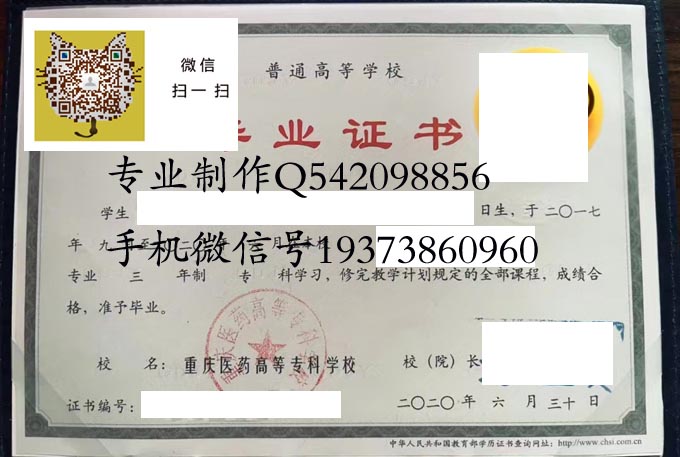 重庆医药高等专科学校2020 拷贝.jpg 重庆医药高等专科学校2020 拷贝.jpg