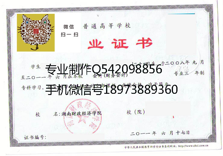 湖南财政经济学院毕业证样本