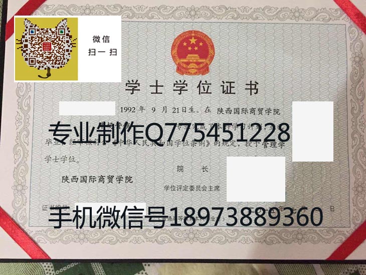陕西国际商贸学院学位证样本