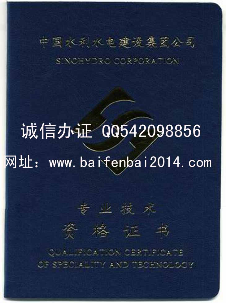 中国水利水电建设集团公司工程师样本