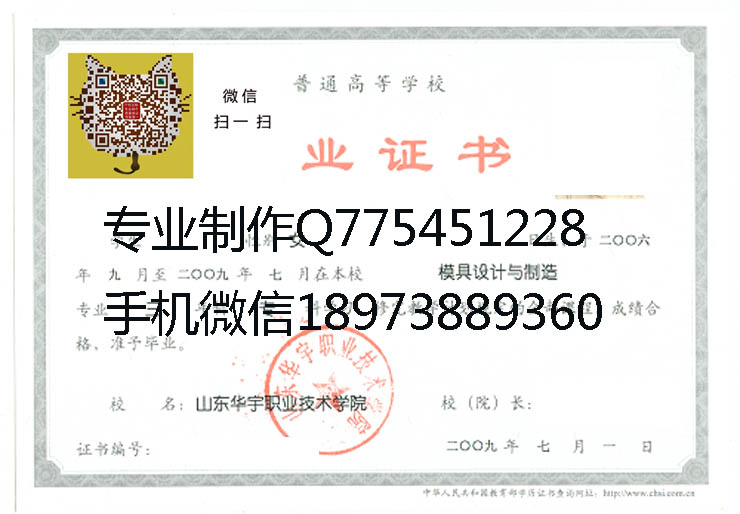 山东华宇职业技术学院毕业证样本