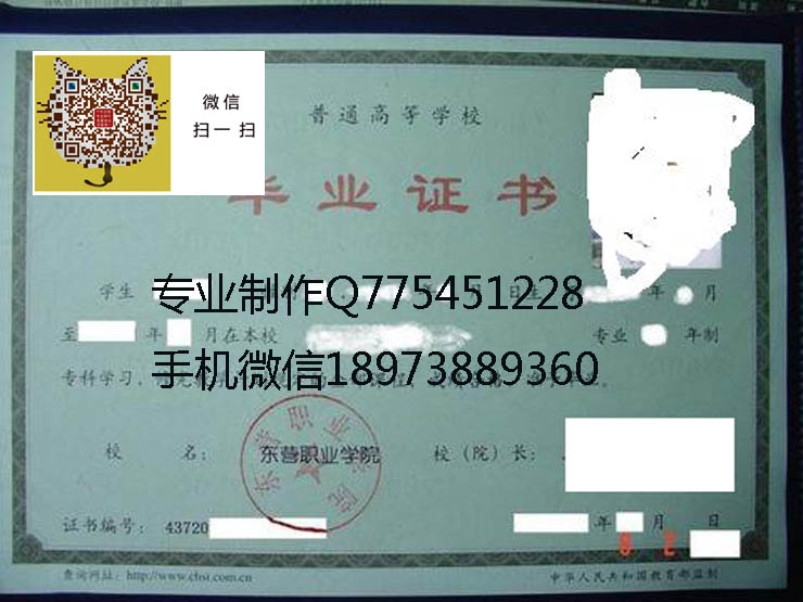 东营职业学院毕业证样本