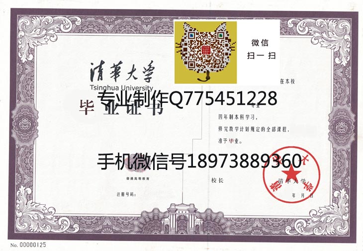 清华大学毕业证样本