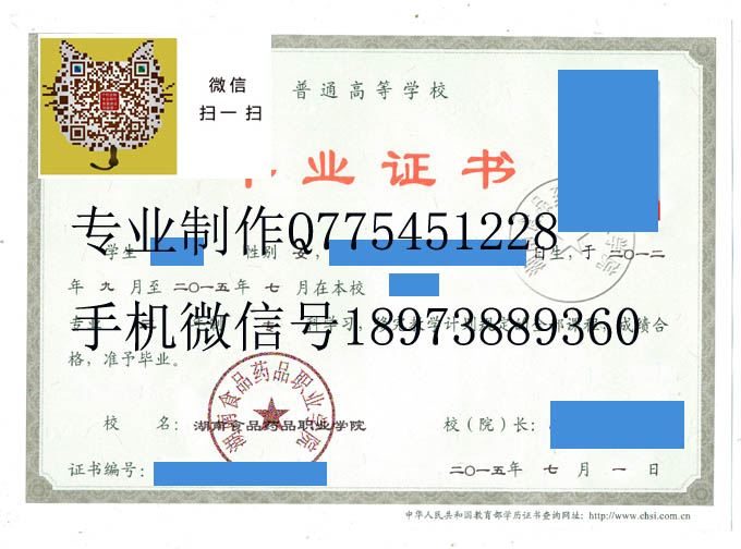 湖南食品药品职业学院毕业证样本