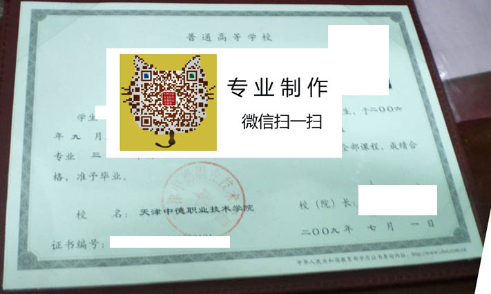 天津中德职业技术学院毕业证样本