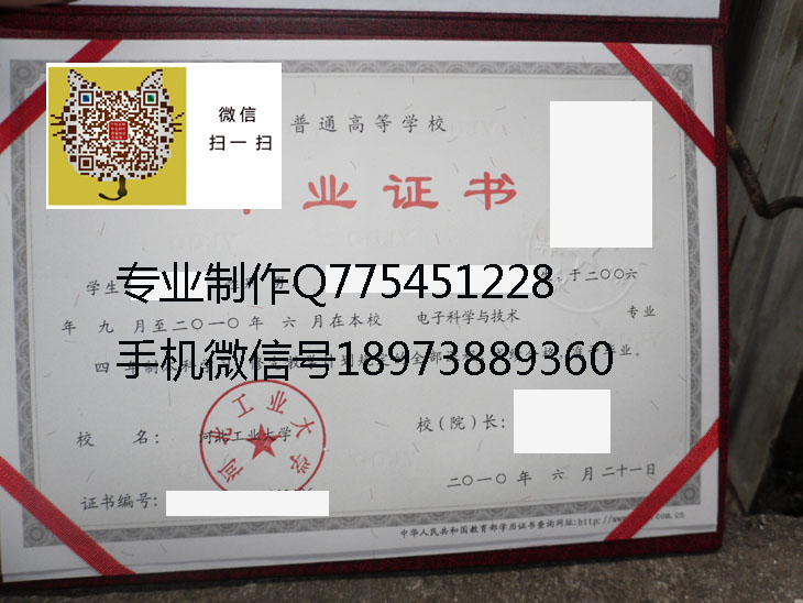 河北工业大学2010年毕业证样本