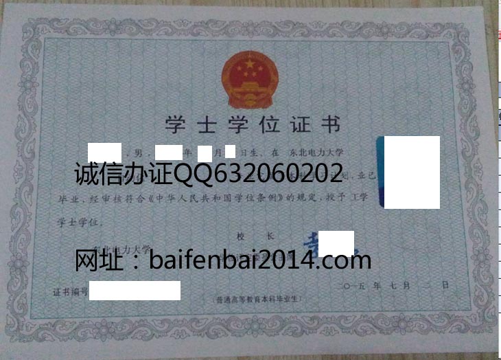 东北电力大学学位证样本