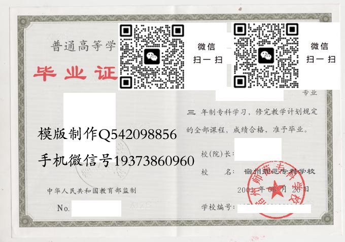 宿州师范专科学校2001电子 拷贝