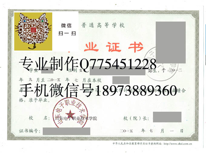 山东电子职业技术学院毕业证样本