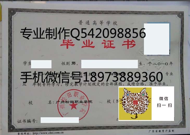 广州松田职业学院2013年毕业证样本