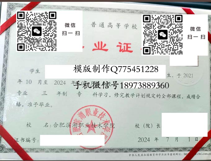 合肥滨湖职业技术学院2024网 拷贝 合肥滨湖职业技术学院2024网 拷贝
