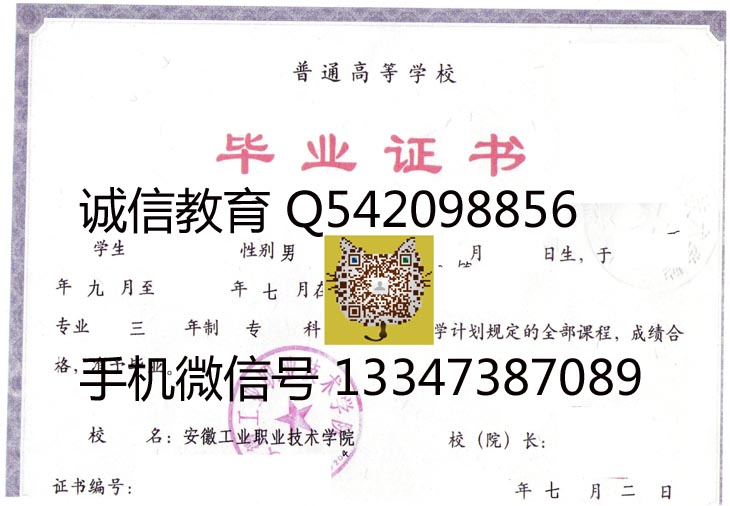 安徽工业职业技术学院2009年毕业证样本
