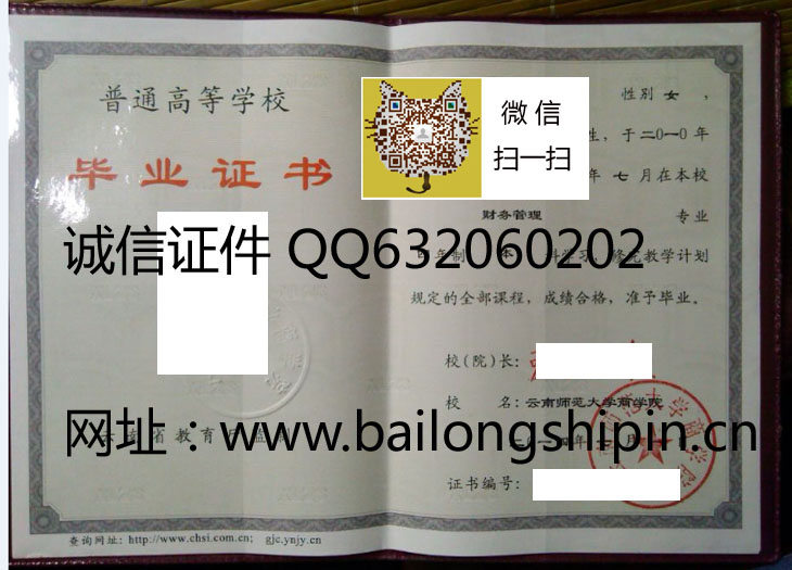 云南师范大学商学院毕业证样本