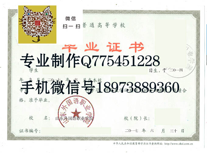 山东外国语职业学院毕业证样本