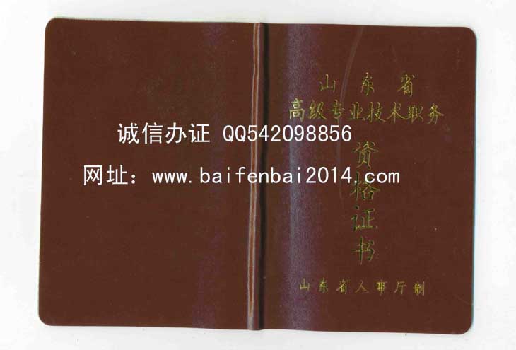 山东省专业技术职务资格证书样本
