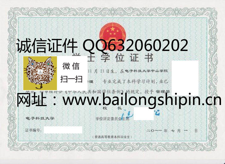 电子科技大学成都学院学位证样本