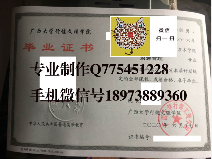 广西大学行健文理学院毕业证样本