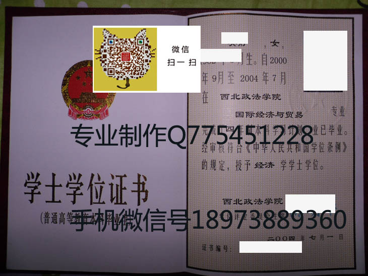 西北政法学院学位证样本