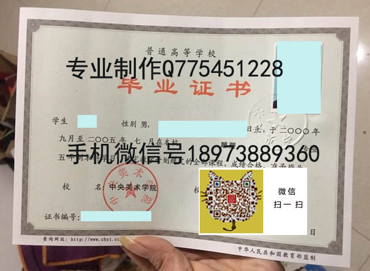 中央美术学院2005年毕业证样本