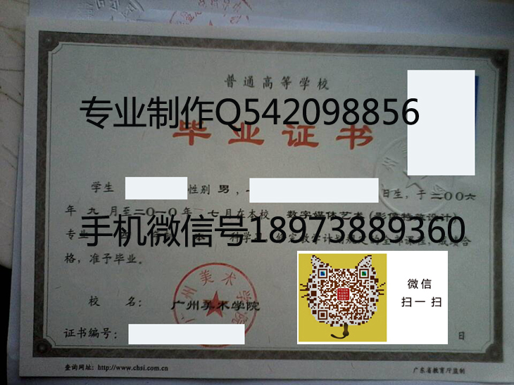 广州美术学院2010年毕业证样本