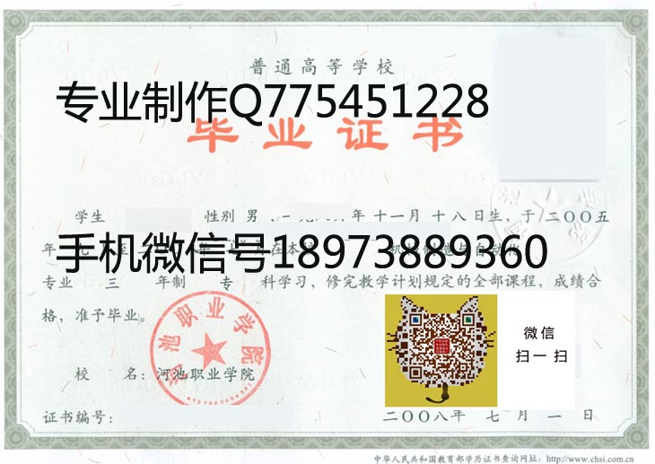 河池职业学院2008年毕业证样本