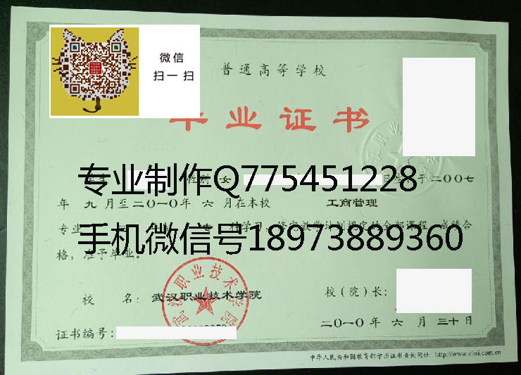 武汉职业技术学院毕业证样本