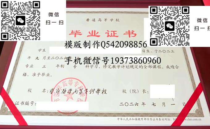毕节医学高等专科学校2026 拷贝