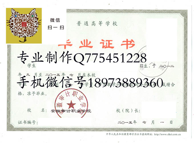 安徽审计职业学院2015 拷贝.jpg 安徽审计职业学院2015 拷贝.jpg