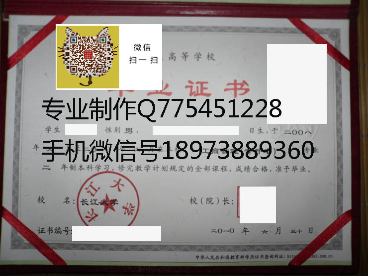 长江大学毕业证样本