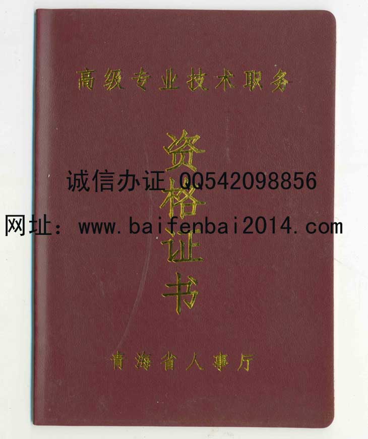 青海省专业技术工程师资格证书样本