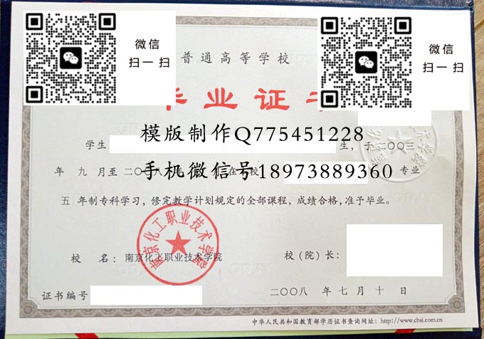 南京化工职业技术学院2008 拷贝