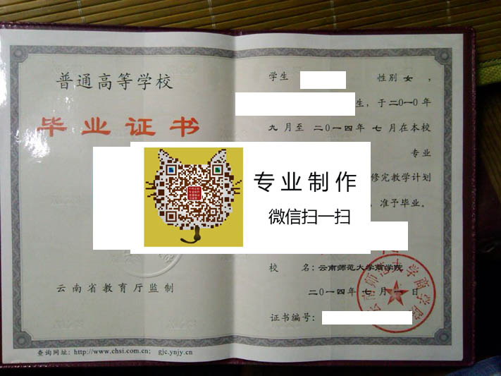 云南师范大学商学院毕业证样本