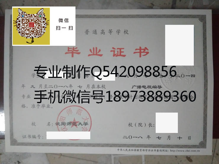 沈阳师范大学毕业证样本